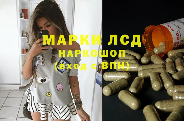 ГАЛЛЮЦИНОГЕННЫЕ ГРИБЫ Балабаново
