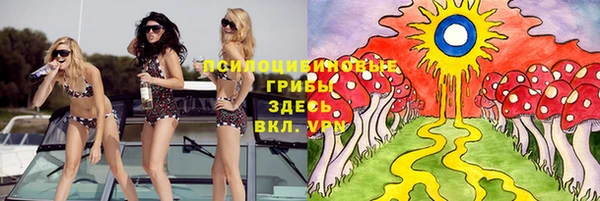 мяу мяу мука Богданович