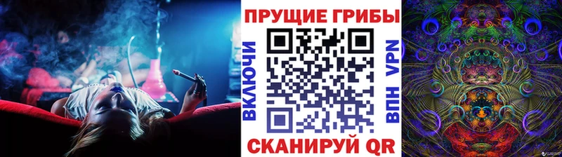 Галлюциногенные грибы Psilocybine cubensis  Купить где  Семикаракорск 
